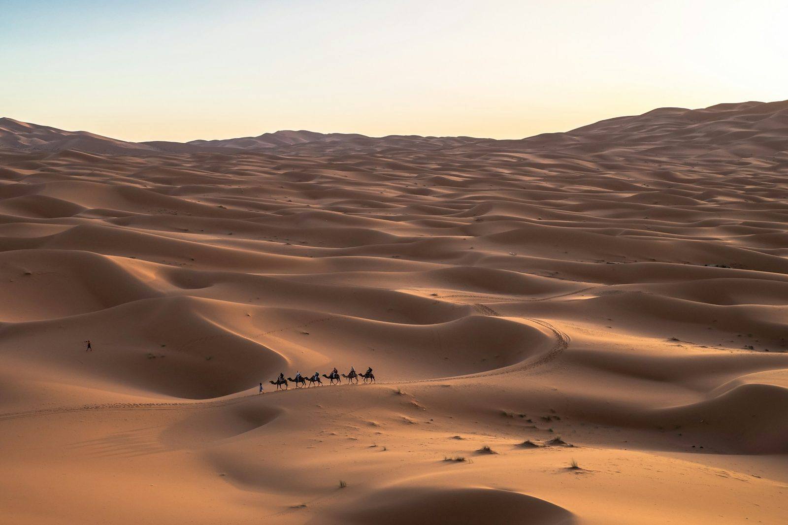 Saudi Arabia — construction machinery